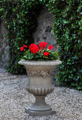 Campania New Newport Ivy Urn